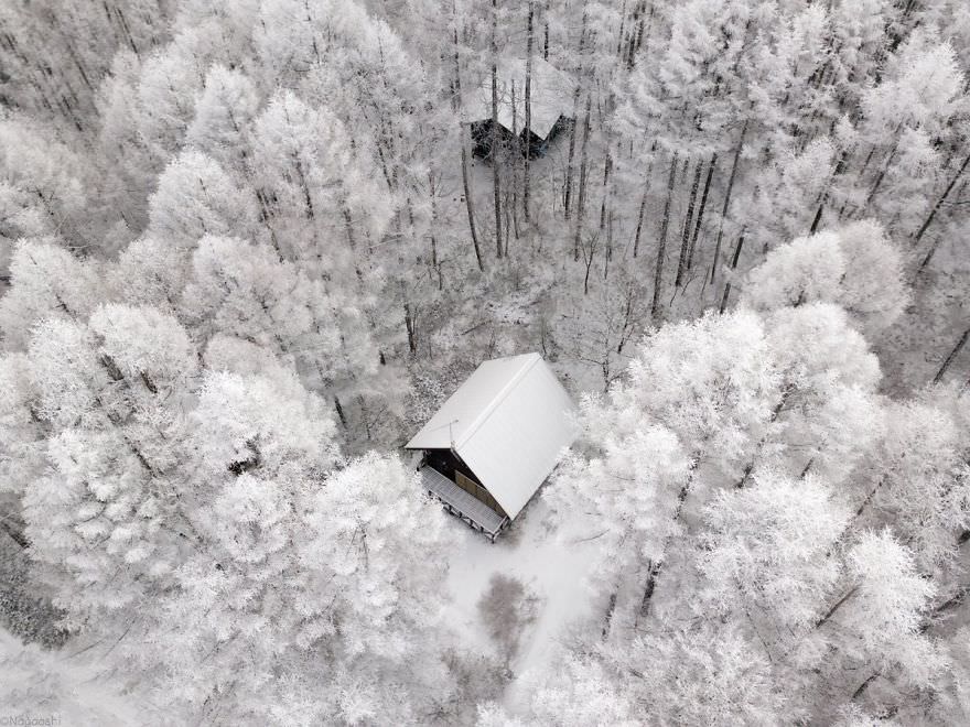 Фотография: Снежная сказка: невероятно красивая зима в Японии №27 - BigPicture.ru