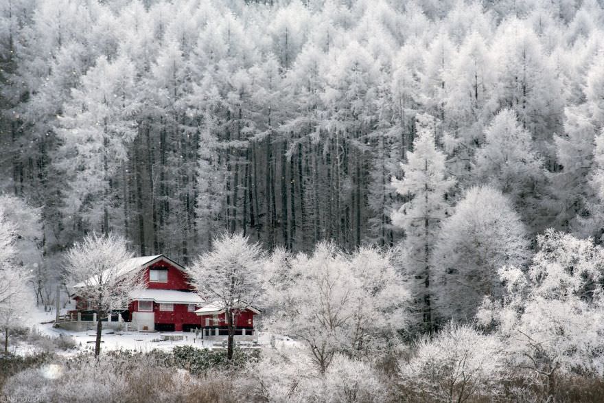 Фотография: Снежная сказка: невероятно красивая зима в Японии №6 - BigPicture.ru