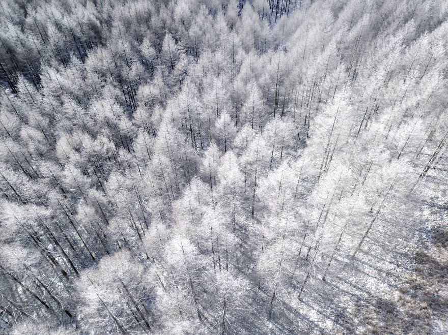 Фотография: Снежная сказка: невероятно красивая зима в Японии №10 - BigPicture.ru