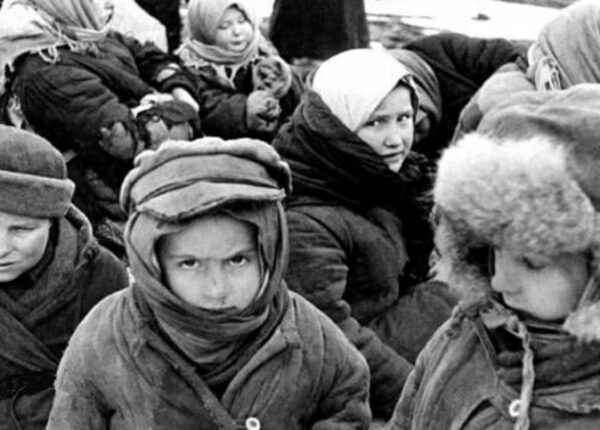 Подвиг советского шофера, Как Максим Твердохлеб доставил мандарины детям блокадного Ленинграда