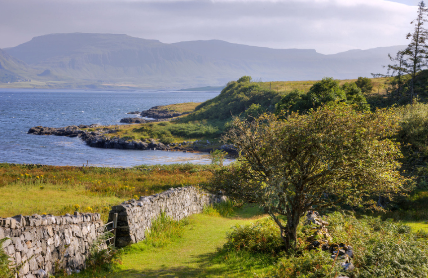 Фотография: Рай для интроверта или экотуристический бизнес: отдаленные острова в Шотландии ищут новых владельцев №6 - BigPicture.ru