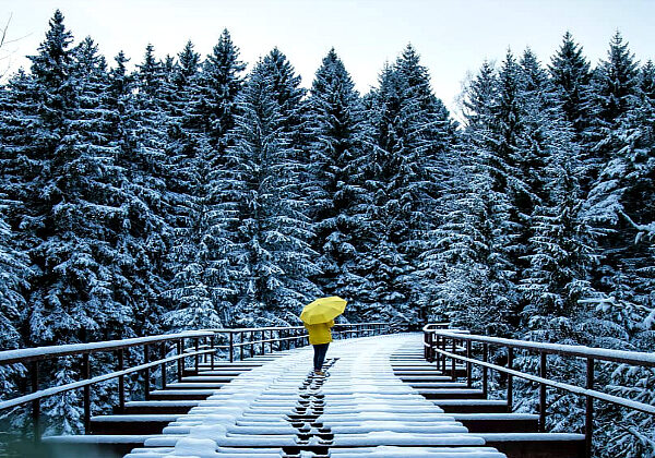 Умиротворяющие зимние пейзажи немецкого фотографа