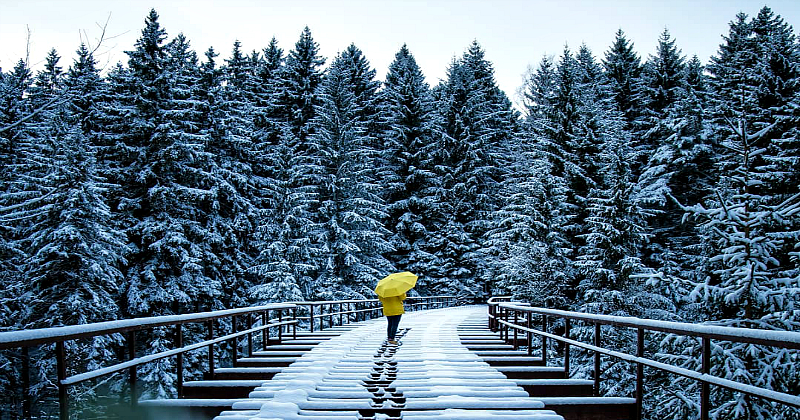 Фотография: Умиротворяющие зимние пейзажи немецкого фотографа №1 - BigPicture.ru