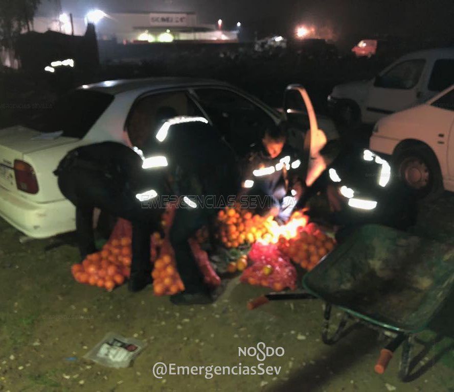 Фотография: В Испании арестовали семью, укравшую четыре тонны апельсинов №4 - BigPicture.ru