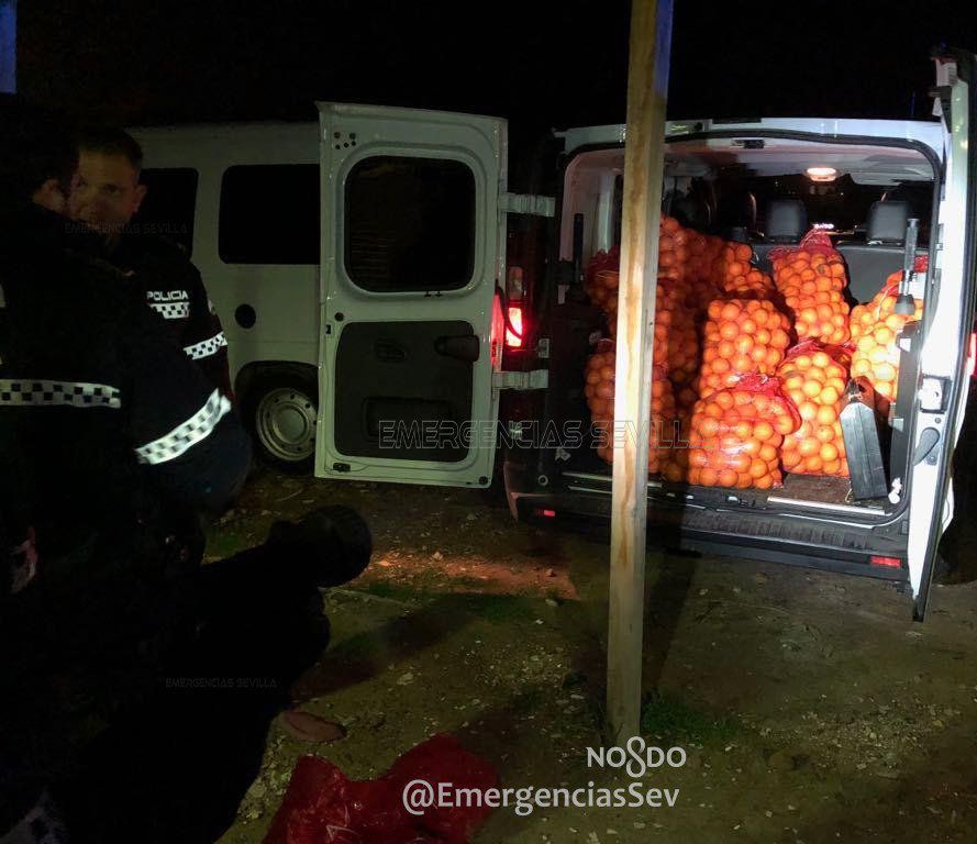 Фотография: В Испании арестовали семью, укравшую четыре тонны апельсинов №3 - BigPicture.ru