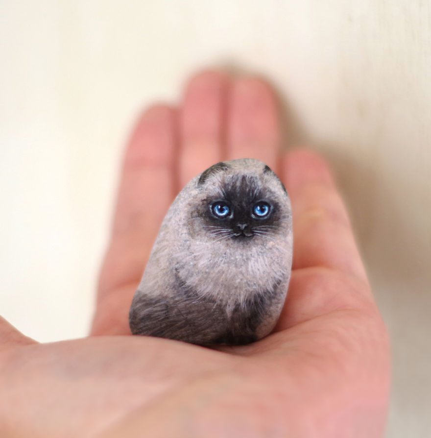 Фотография: Я не кот, не гладь меня: художник раскрывает уникальные характеры камней №22 - BigPicture.ru