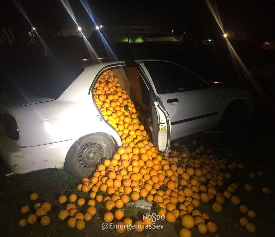 Фотография: В Испании арестовали семью, укравшую четыре тонны апельсинов №5 - BigPicture.ru