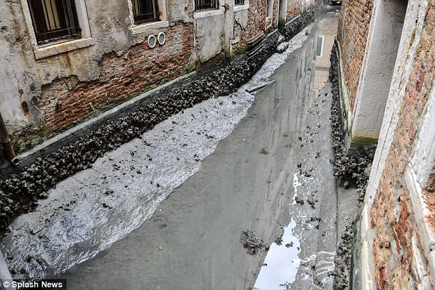 Фотография: Легендарные каналы Венеции высыхают из-за аномальной погоды №7 - BigPicture.ru