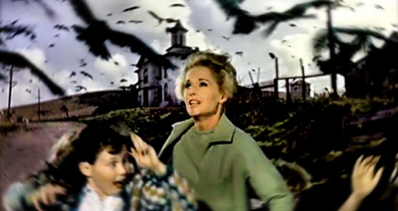 Фотография: Когда классический хоррор оживает: необъяснимое нашествие черных птиц в Техасе №1 - BigPicture.ru