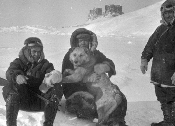 Как советская экспедиция создала первую в мире полярную дрейфующую станцию на льдине