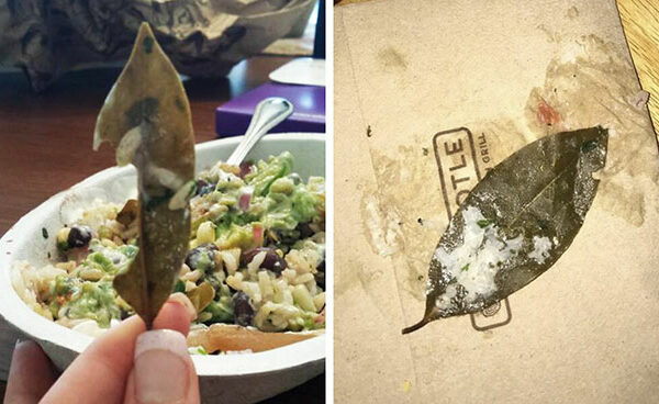 Загадка лаврового листа: пользователи Twitter жалуются на ресторан, обнаружив лист неизвестного происхождения