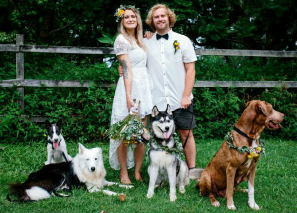 Когда у оператора лапки: пара поручила своему псу снимать свадьбу