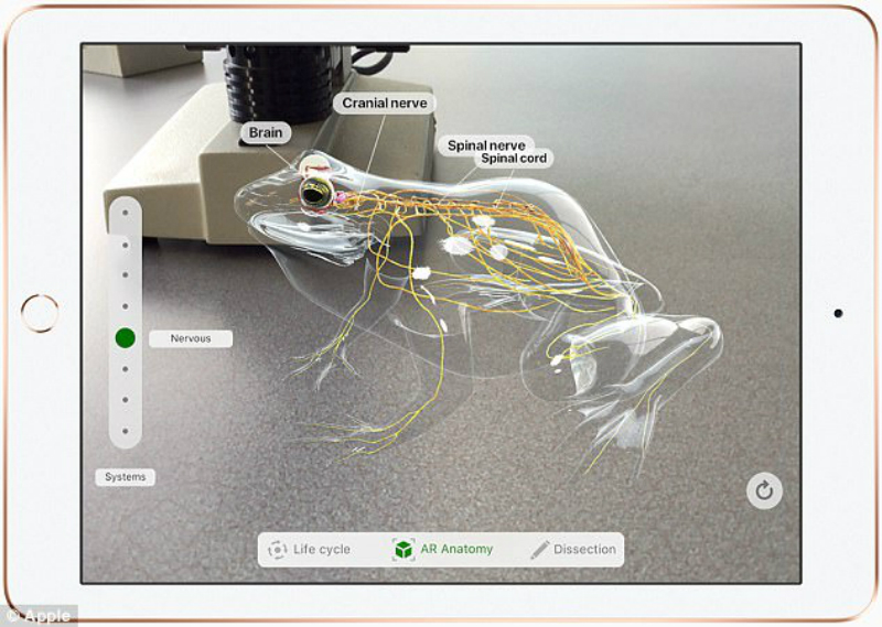Фотография: Препарировать лягушек и делать домашнее задание в виртуальной реальности: что умеет новый iPad для школьников №10 - BigPicture.ru