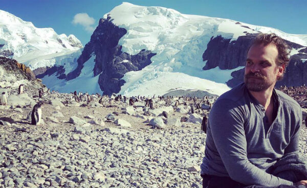 Шериф Хоппер из сериала «Очень странные дела» отправился на Южный полюс, чтобы записать танец с пингвинами