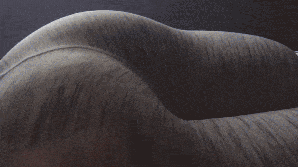 Фотография: Поподушка — подушка в виде крепких женских ягодиц №4 - BigPicture.ru