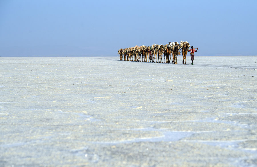 Фотография: Долина смерти в Эфиопии: как выглядит самое безжизненное место на планете №3 - BigPicture.ru