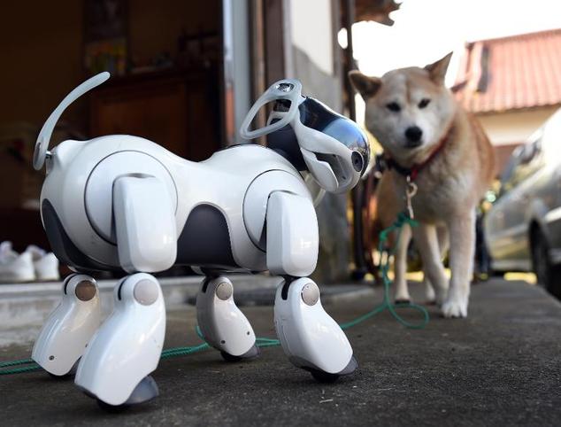 Фотография: У них есть душа: в японских храмах проводят панихиды по собакам-роботам №2 - BigPicture.ru
