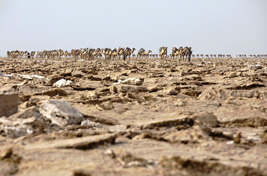Фотография: Долина смерти в Эфиопии: как выглядит самое безжизненное место на планете №23 - BigPicture.ru