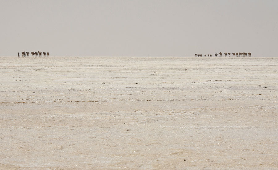 Фотография: Долина смерти в Эфиопии: как выглядит самое безжизненное место на планете №26 - BigPicture.ru