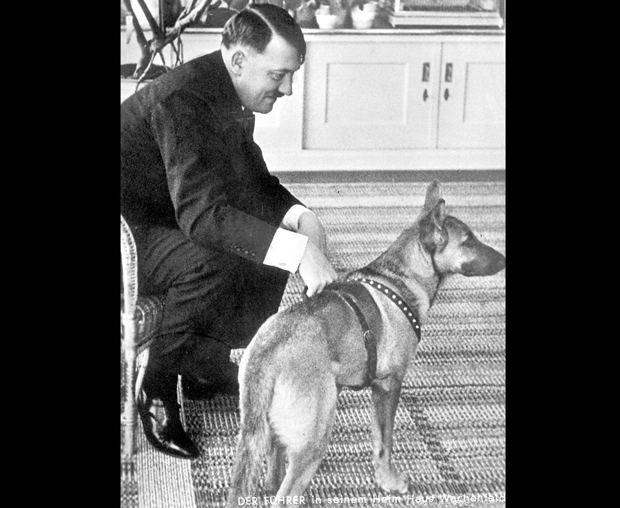 Фотография: Гитлер как друг детей и животных: как фюрера изображала немецкая пропаганда №35 - BigPicture.ru