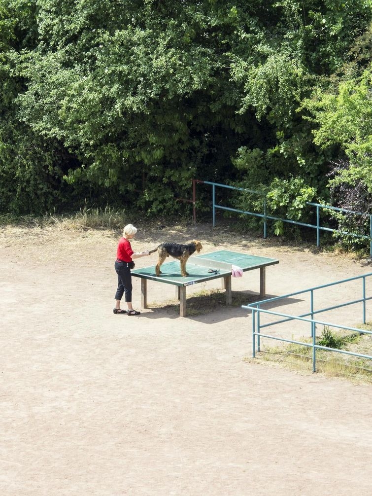 Фотография: Японец пять лет фотографировал теннисный стол, и он нужен людям совсем не для пинг-понга №4 - BigPicture.ru