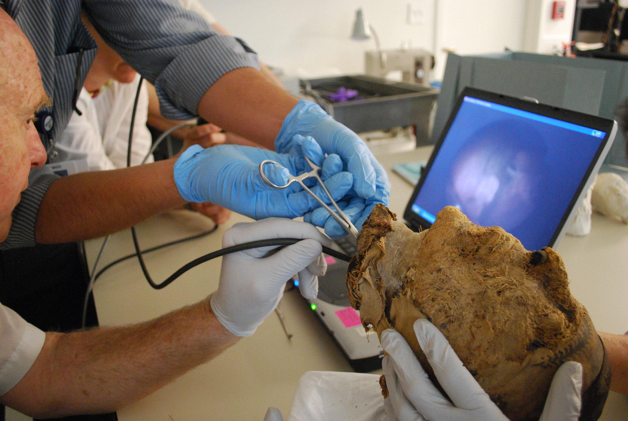 Как ФБР раскрыло тайну оторванной головы 4000-летней мумии