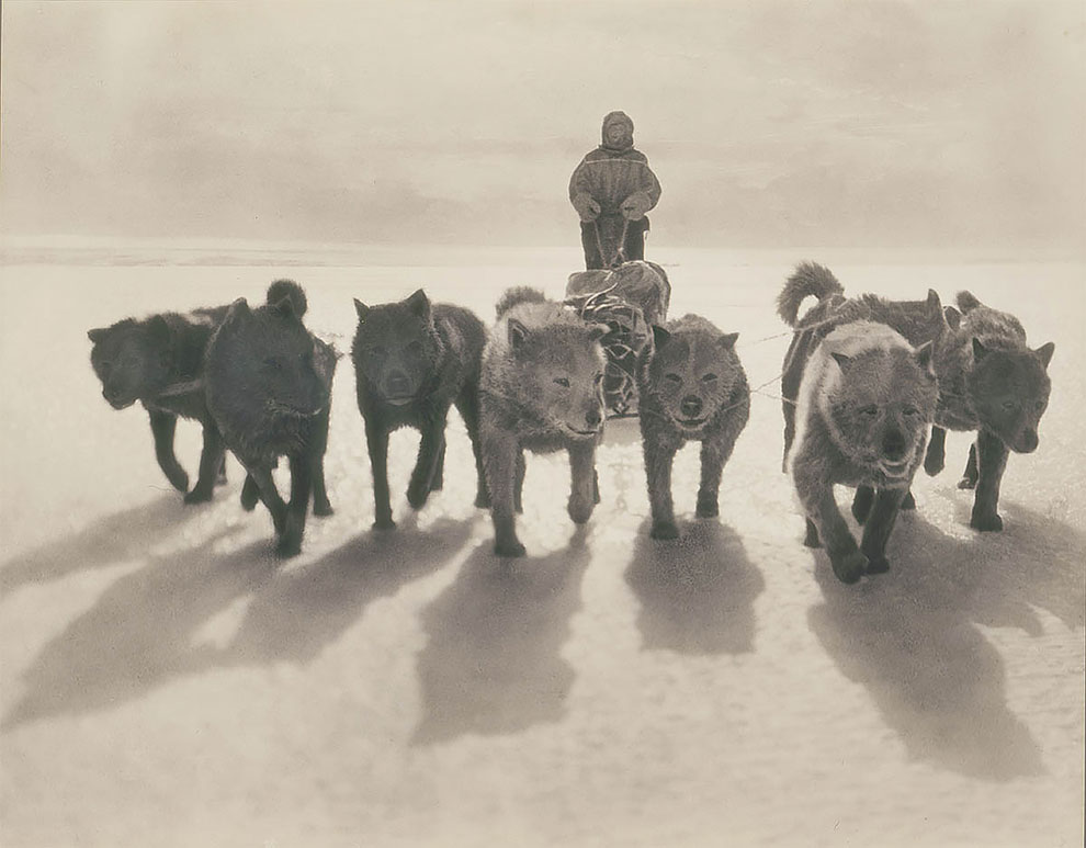 Фотография: Уникальные фотографии из первой Австралийской антарктической экспедиции 1911-1914 годов №7 - BigPicture.ru