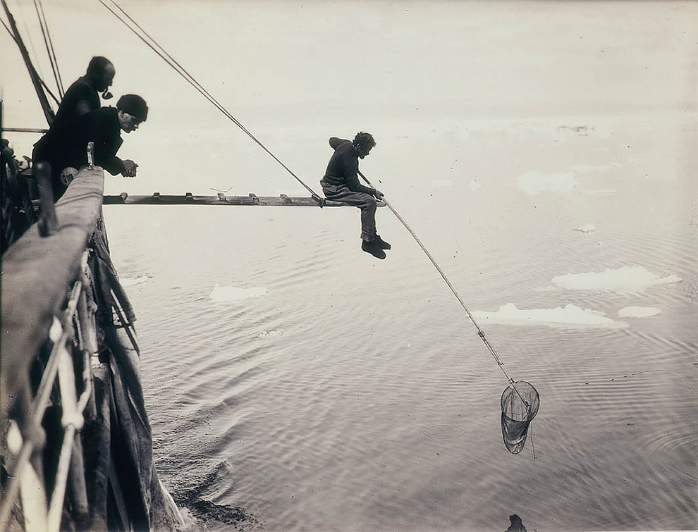 Фотография: Уникальные фотографии из первой Австралийской антарктической экспедиции 1911-1914 годов №8 - BigPicture.ru