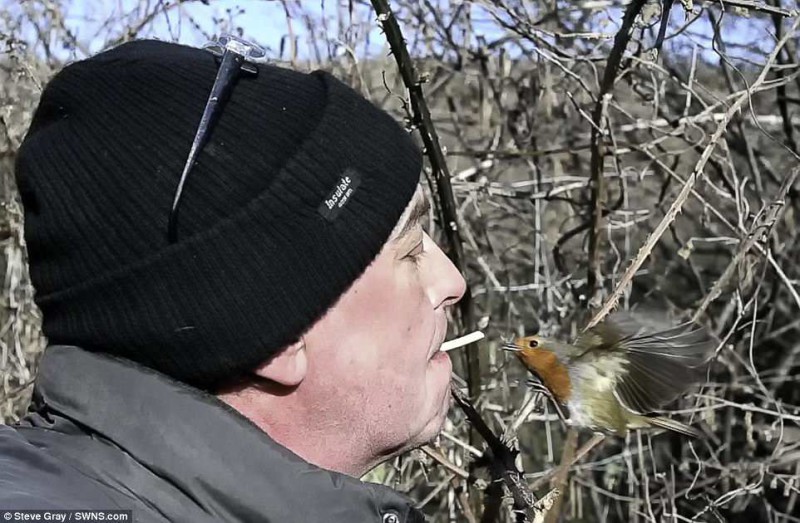 Фотография: Настоящий Доктор Дулиттл: как британец стал повелителем диких птиц №3 - BigPicture.ru