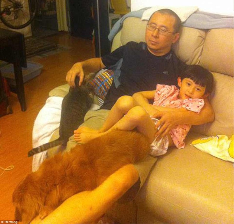 Фотография: Зачем отец, дочь, собака и кот каждый год на протяжении десятилетия делают одинаковую фотографию №4 - BigPicture.ru