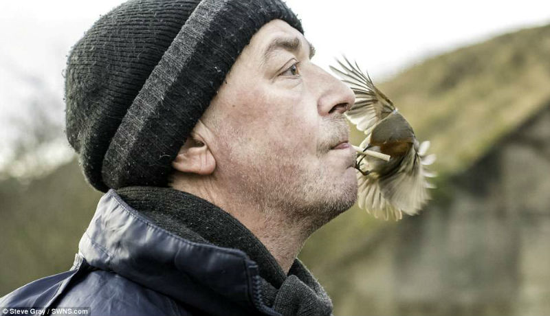 Фотография: Настоящий Доктор Дулиттл: как британец стал повелителем диких птиц №9 - BigPicture.ru