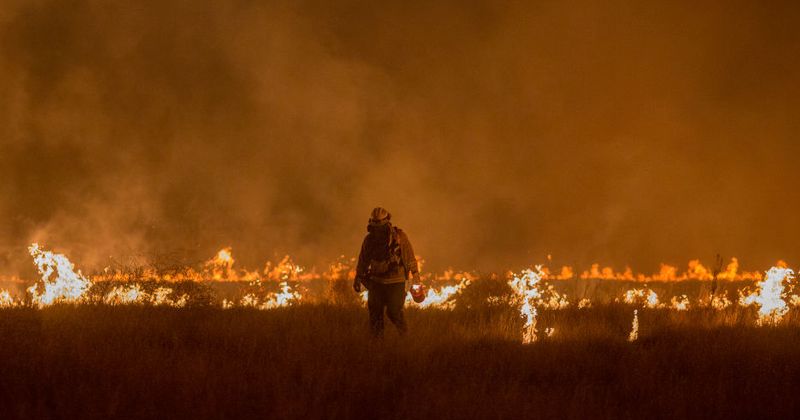 Фотография: Зажег не по-детски: как украинский подросток сжег американский лес на 37 миллионов долларов №4 - BigPicture.ru