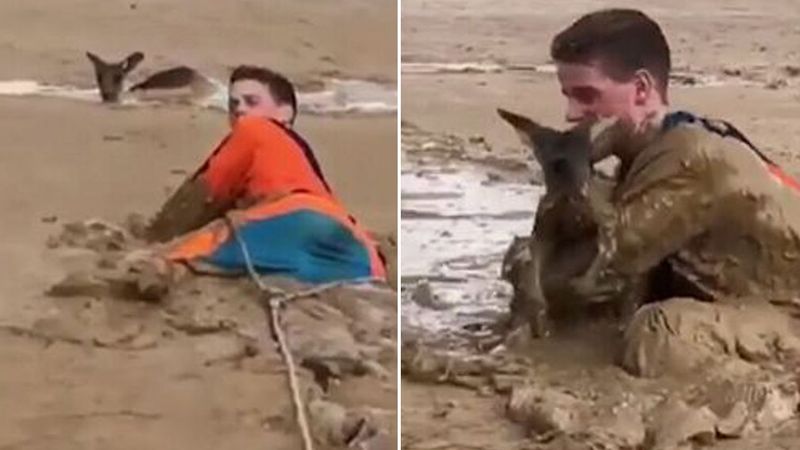 Фотография: Австралийский подросток полез в грязь, чтобы спасти увязшего по уши кенгуренка №2 - BigPicture.ru