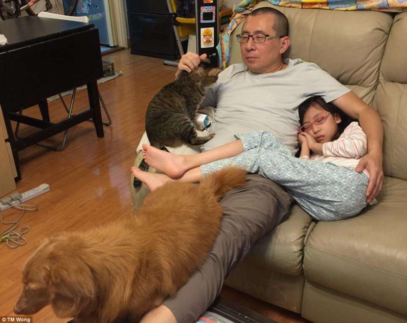Фотография: Зачем отец, дочь, собака и кот каждый год на протяжении десятилетия делают одинаковую фотографию №6 - BigPicture.ru