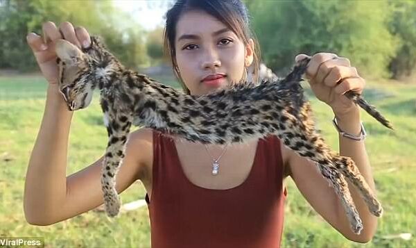 «Подписывайся на канал! Жми на колокольчик!»: камбоджийка поедала редких животных на камеру ради заработка на YouTube
