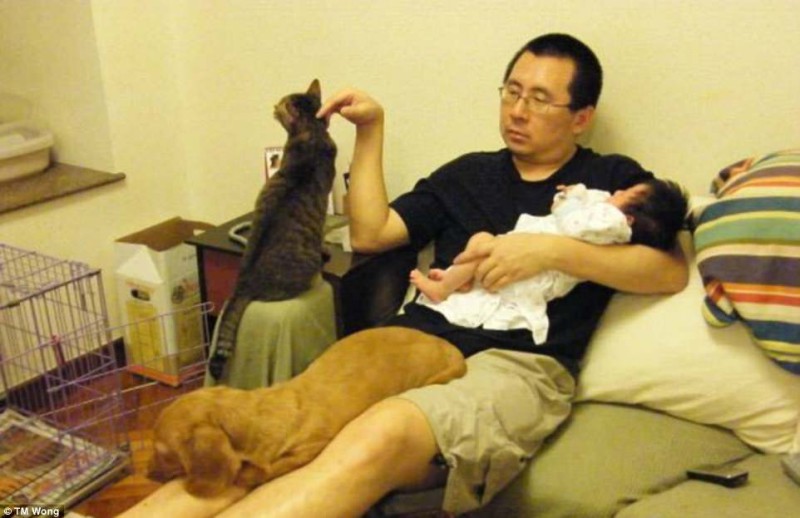 Фотография: Зачем отец, дочь, собака и кот каждый год на протяжении десятилетия делают одинаковую фотографию №2 - BigPicture.ru