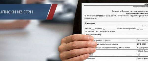 Зачем нужна и как получить справку из Единый государственный реестр недвижимости?