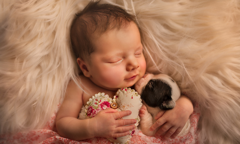 Фотография: Когда милее некуда: объятия новорожденных и питомцев в проекте фотографа из Лондона №1 - BigPicture.ru