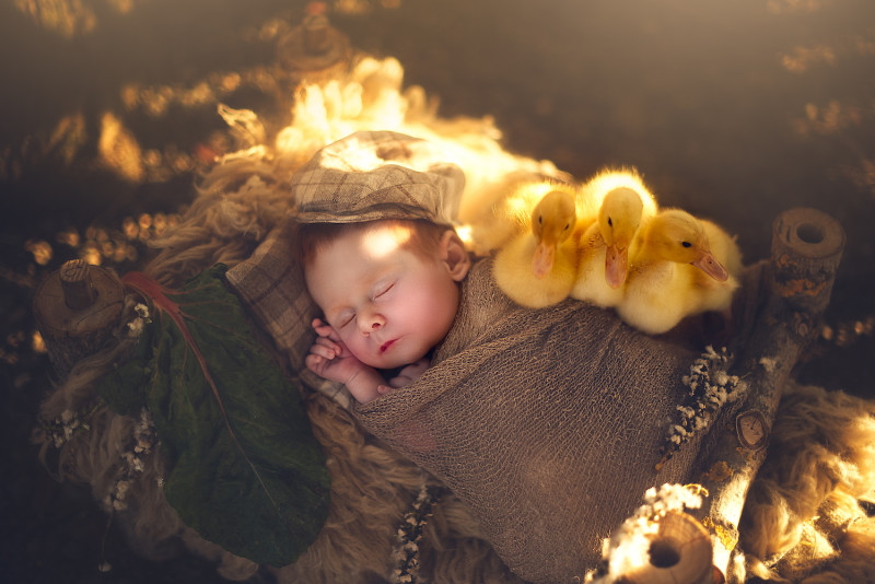Фотография: Когда милее некуда: объятия новорожденных и питомцев в проекте фотографа из Лондона №5 - BigPicture.ru