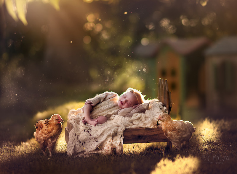 Фотография: Когда милее некуда: объятия новорожденных и питомцев в проекте фотографа из Лондона №9 - BigPicture.ru