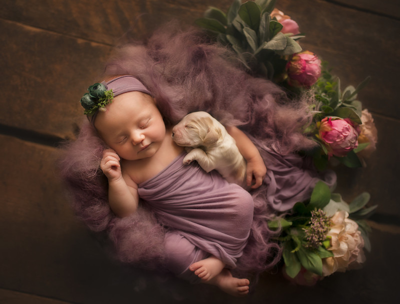 Фотография: Когда милее некуда: объятия новорожденных и питомцев в проекте фотографа из Лондона №6 - BigPicture.ru