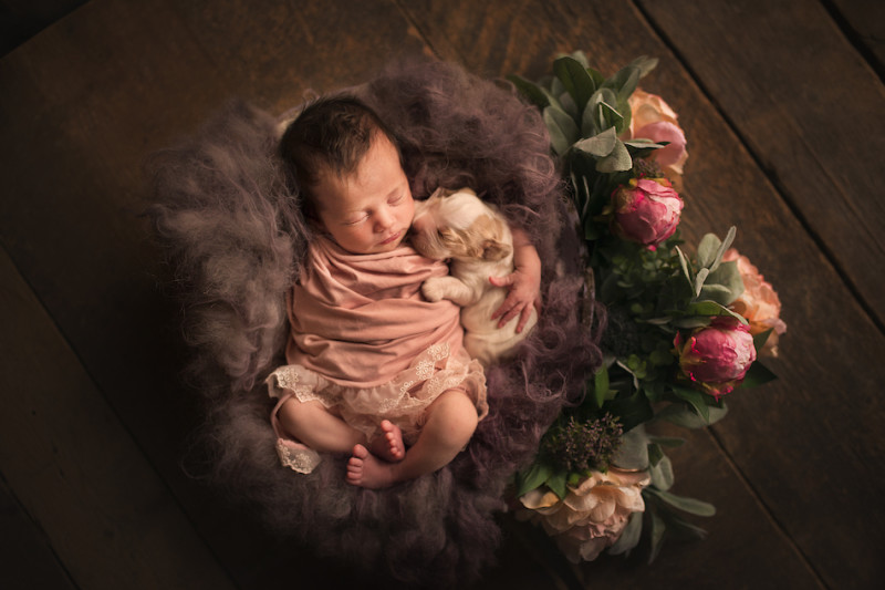 Фотография: Когда милее некуда: объятия новорожденных и питомцев в проекте фотографа из Лондона №8 - BigPicture.ru