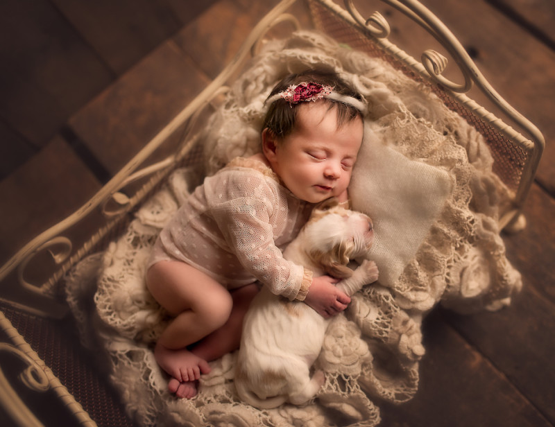 Фотография: Когда милее некуда: объятия новорожденных и питомцев в проекте фотографа из Лондона №2 - BigPicture.ru