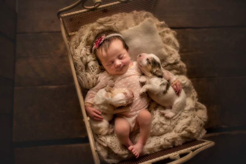 Фотография: Когда милее некуда: объятия новорожденных и питомцев в проекте фотографа из Лондона №4 - BigPicture.ru