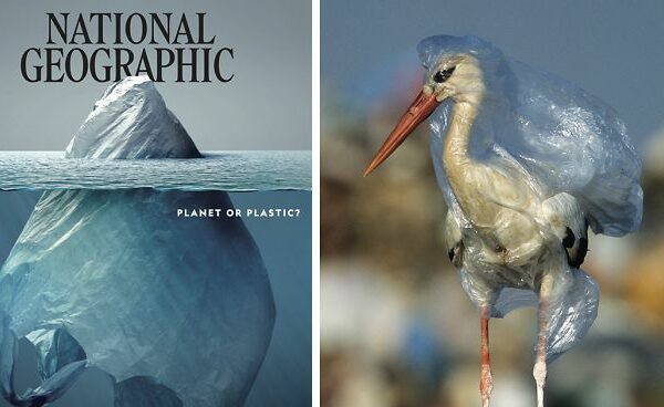 Самое страшное внутри: что скрывает обложка нового номера журнала National Geographic