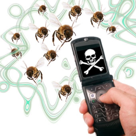 Фотография: Без меда и фруктов: Что произойдет, когда в 2035 году вымрут все пчелы №2 - BigPicture.ru