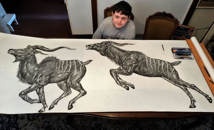 Фотография: Юный серб рисует с двух лет и уже иллюстрирует энциклопедии №2 - BigPicture.ru