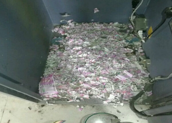 Обед на миллион: мыши залезли в банкомат и съели там все деньги