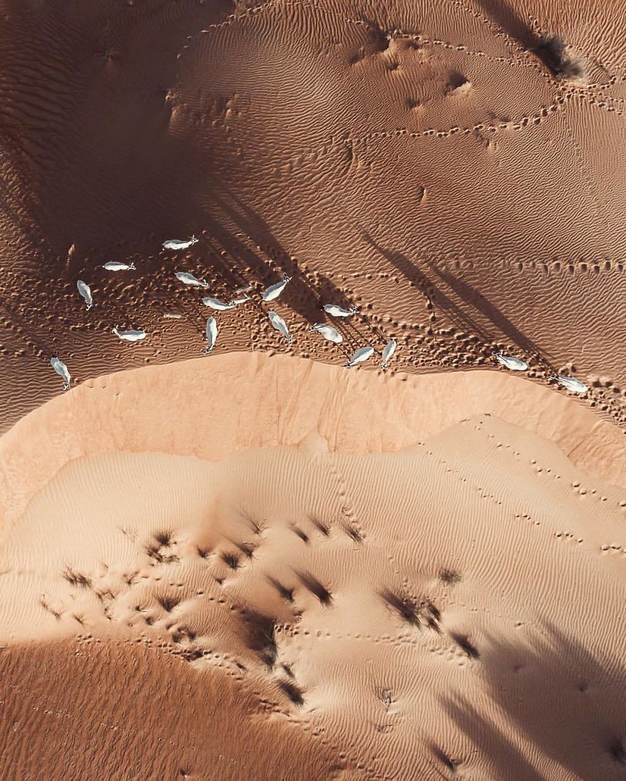 Фотография: Природа против человека: фотограф заснял с дрона, как пустыня пожирает Дубай и Абу-Даби №15 - BigPicture.ru