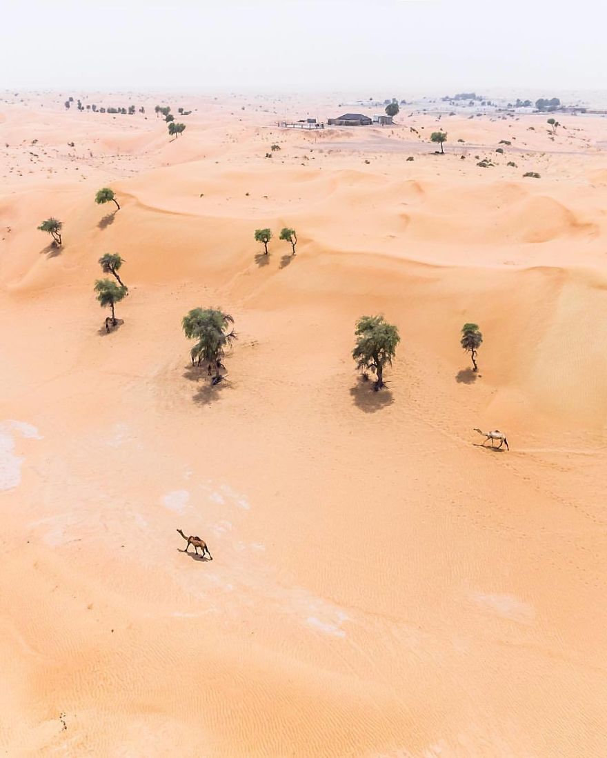 Фотография: Природа против человека: фотограф заснял с дрона, как пустыня пожирает Дубай и Абу-Даби №16 - BigPicture.ru